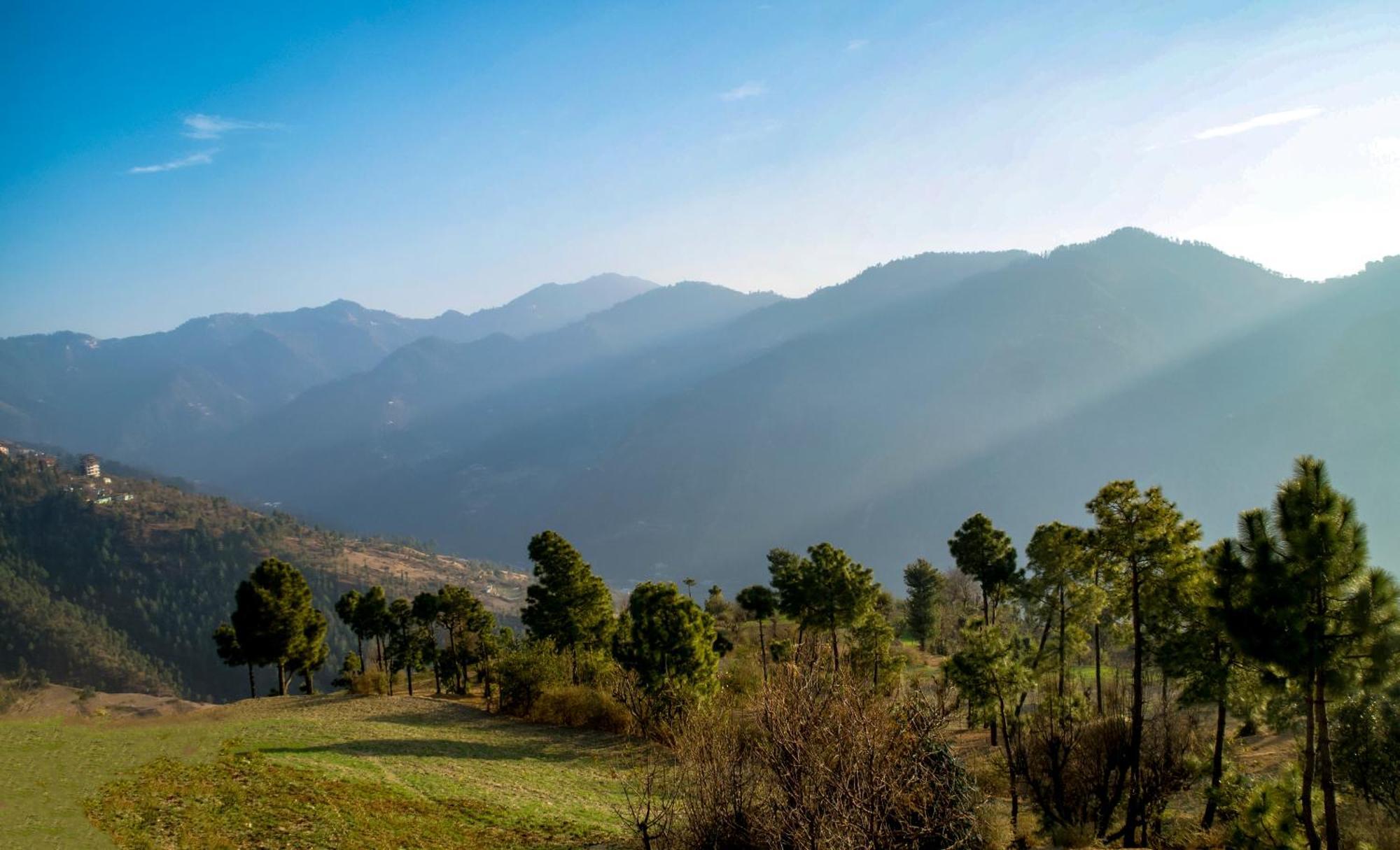 The Manor Luxury Apartments, Shimla Mashobra Bagian luar foto